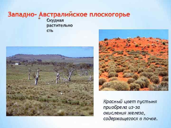 Западно- Австралийское плоскогорье * Красный цвет пустыня приобрела из-за окисления железа, содержащегося в почве.