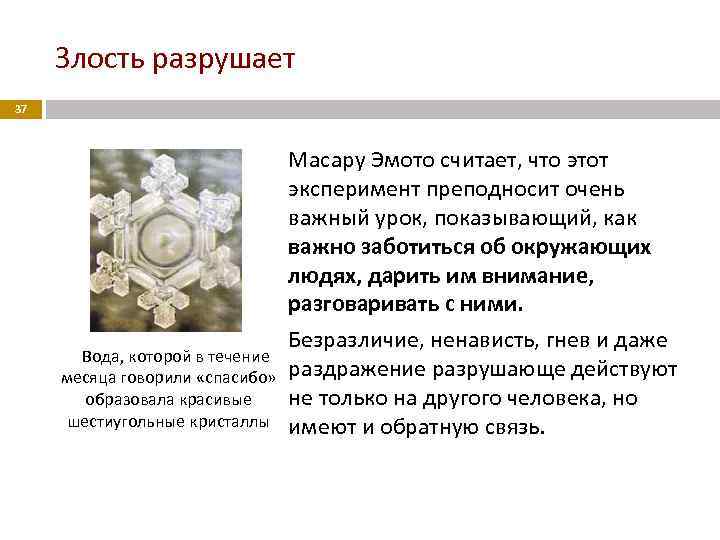 Злость разрушает 37 Вода, которой в течение месяца говорили «спасибо» образовала красивые шестиугольные кристаллы