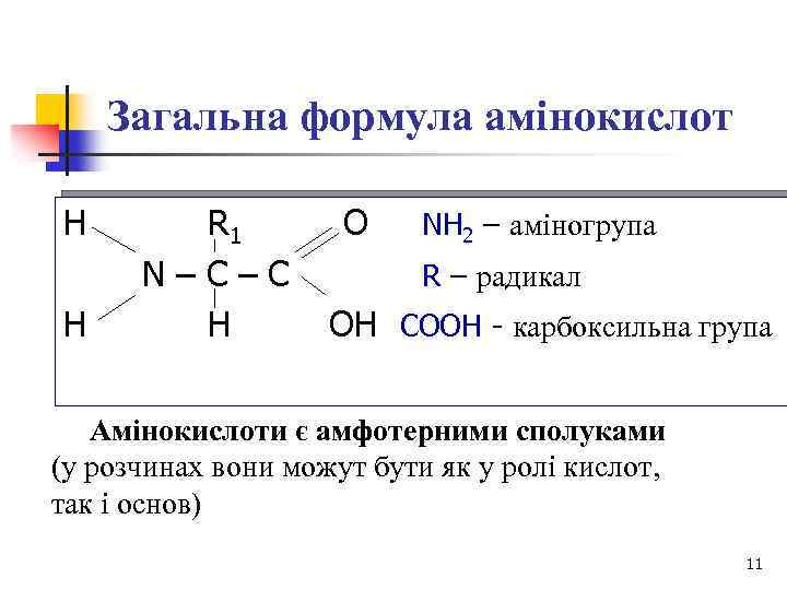 Загальна формула амінокислот H H R 1 O NH 2 – аміногрупа N –