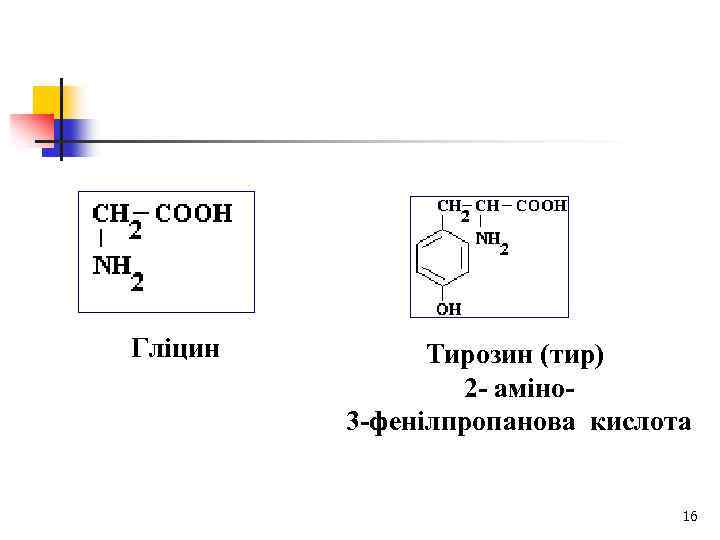 Гліцин Тирозин (тир) 2 - аміно 3 -фенілпропанова кислота 16 