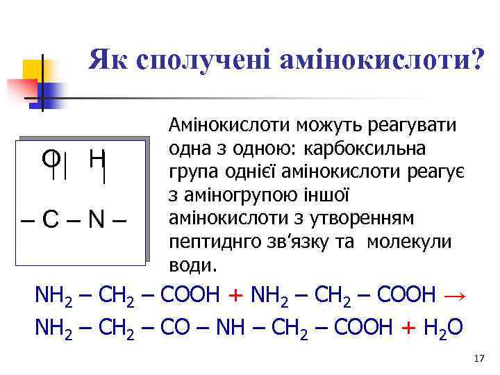 Як сполучені амінокислоти? O H –С–N– Амінокислоти можуть реагувати одна з одною: карбоксильна група