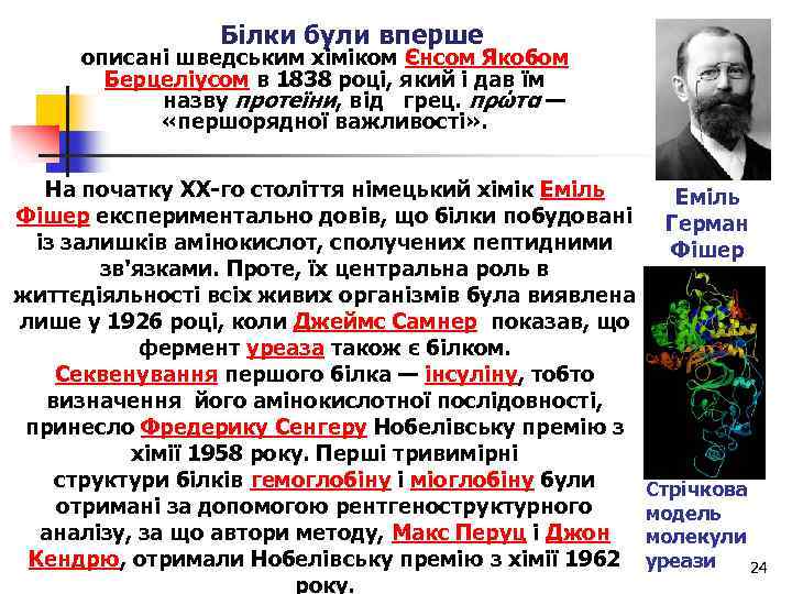  Білки були вперше описані шведським хіміком Єнсом Якобом Берцеліусом в 1838 році, який