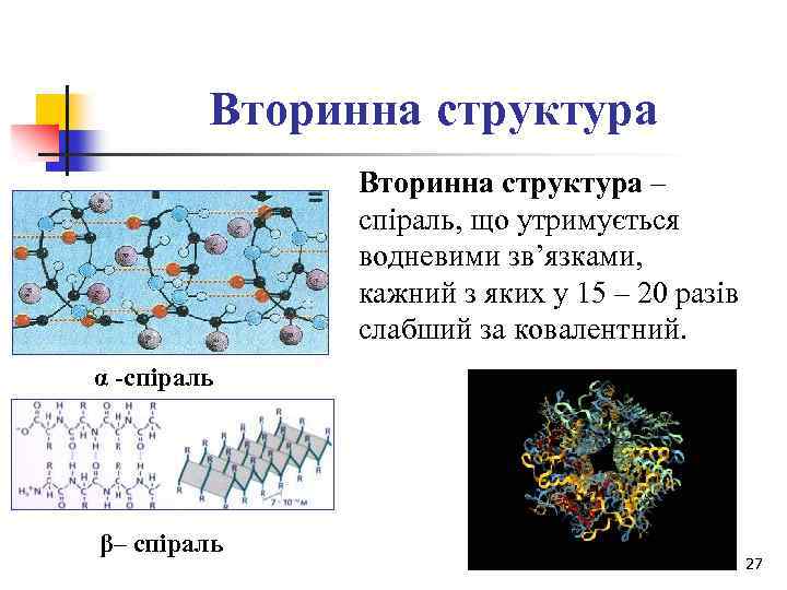 Вторинна структура – спіраль, що утримується водневими зв’язками, кажний з яких у 15 –