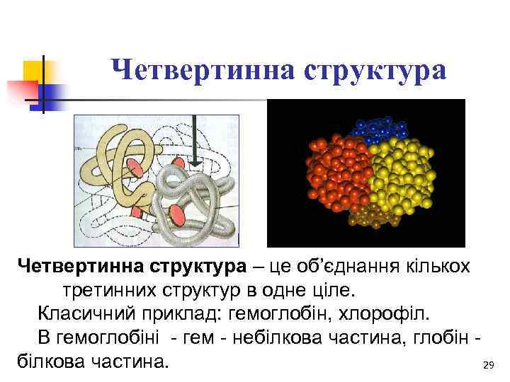 Четвертинна структура – це об’єднання кількох третинних структур в одне ціле. Класичний приклад: гемоглобін,