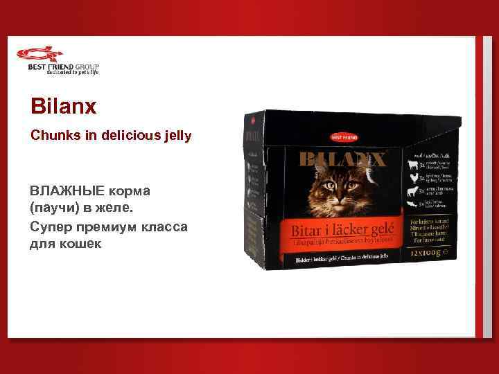 Bilanx Chunks in delicious jelly ВЛАЖНЫЕ корма (паучи) в желе. Супер премиум класса для