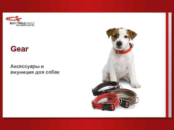 Gear Аксессуары и амуниция для собак 