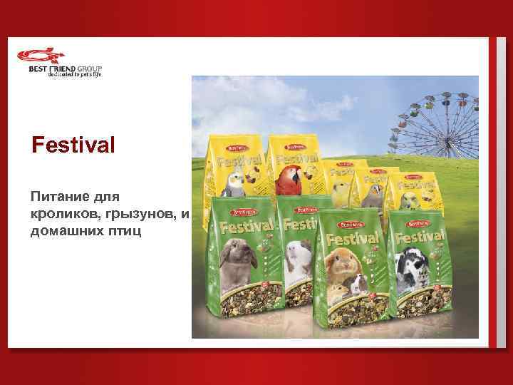 Festival Питание для кроликов, грызунов, и домашних птиц 