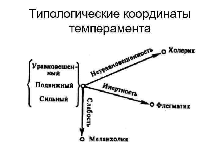 Типологические координаты темперамента 