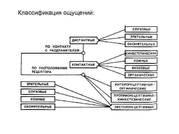 Классификация ощущений: 