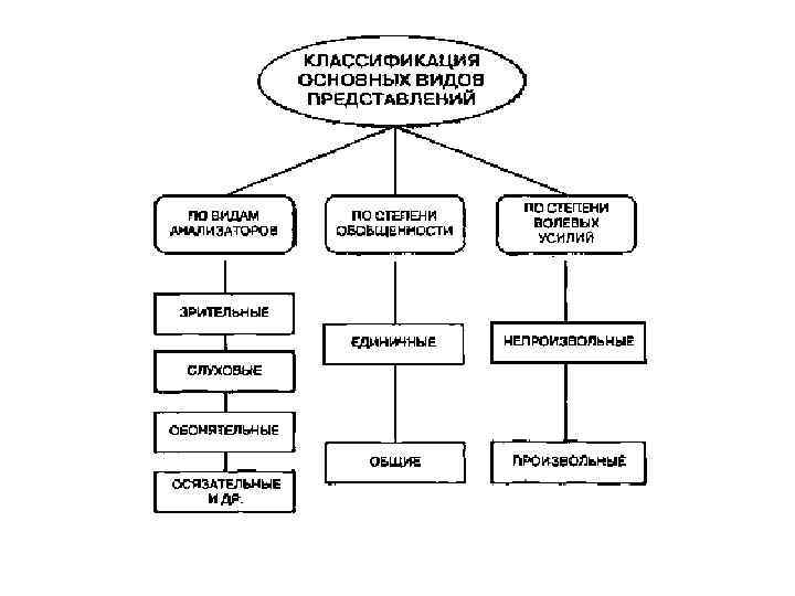 Классификация представлений. Классификация основных видов представлений. Типы представлений в психологии. Виды представлений схема. Представление виды представлений.