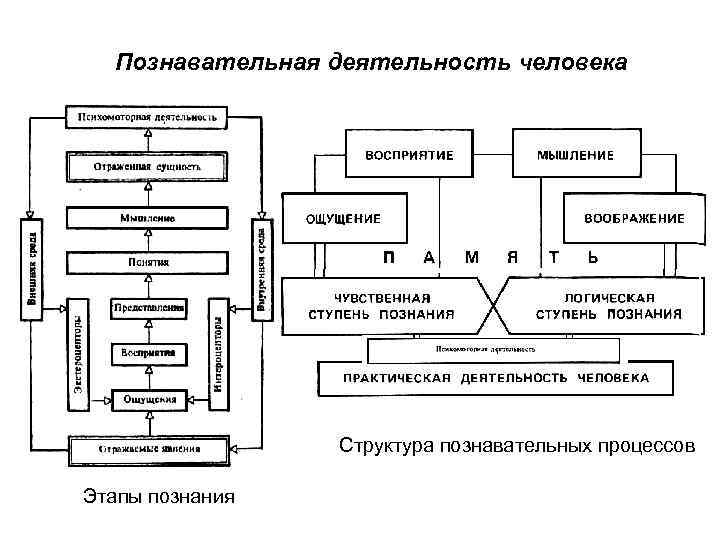 Структура познавательной