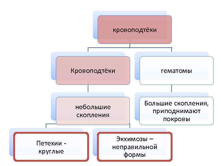 кровоподтёки Кровоподтёки небольшие скопления Петехии круглые гематомы Большие скопления, приподнимают покровы Экхимозы – неправильной