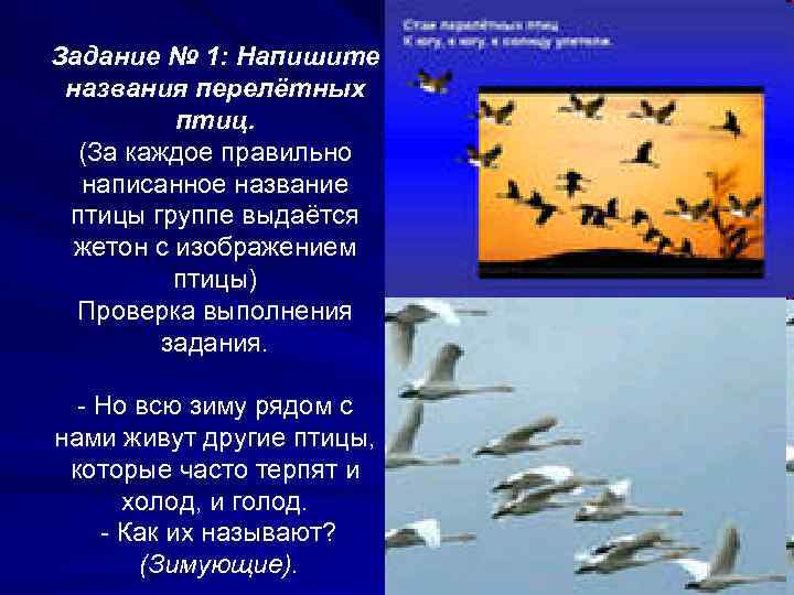 Задание № 1: Напишите названия перелётных птиц. (За каждое правильно написанное название птицы группе