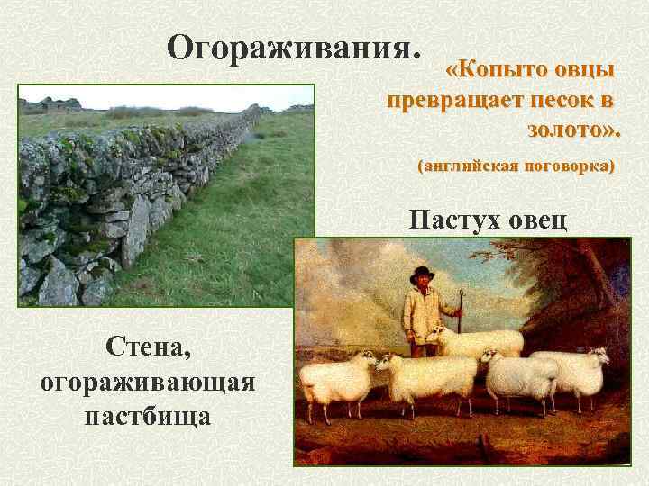 Огораживания. «Копыто овцы превращает песок в золото» . (английская поговорка) Пастух овец Стена, огораживающая