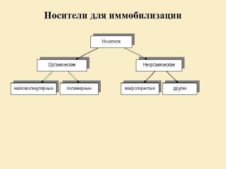 Носители для иммобилизации 