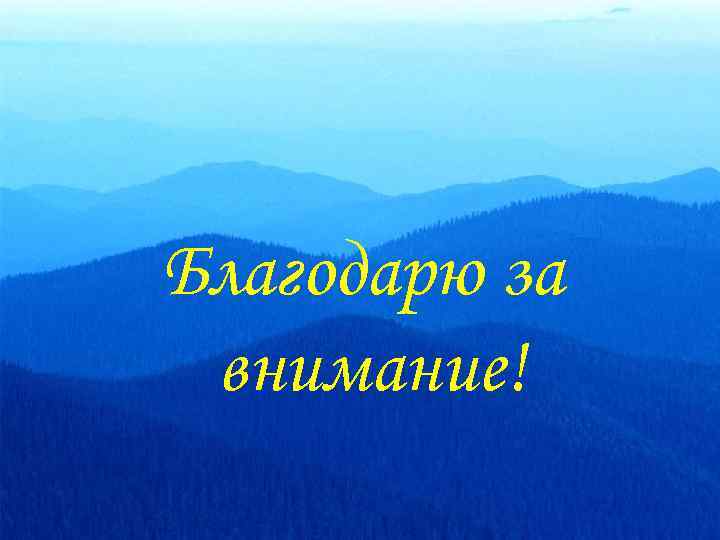 Благодарю за внимание! 