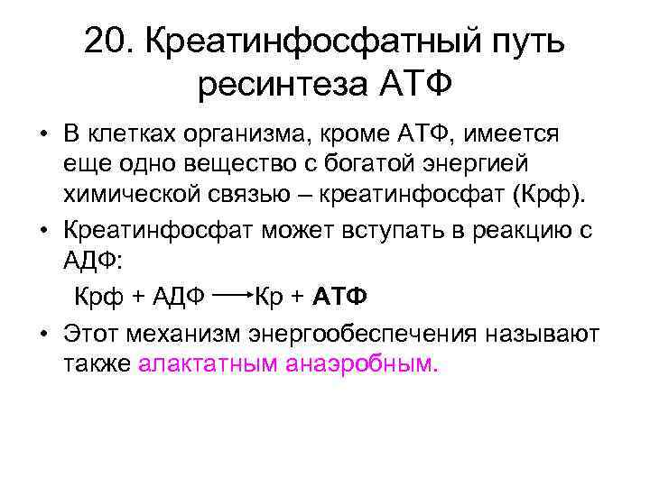 Богатые энергией связи в молекуле атф. Креатинфосфатная реакция ресинтеза АТФ. Креатинкиназный путь ресинтеза АТФ. Анаэробные источники ресинтеза АТФ. Пути ресинтеза АТФ В мышцах.