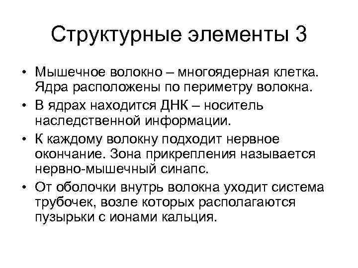 Структурные элементы 3 • Мышечное волокно – многоядерная клетка. Ядра расположены по периметру волокна.