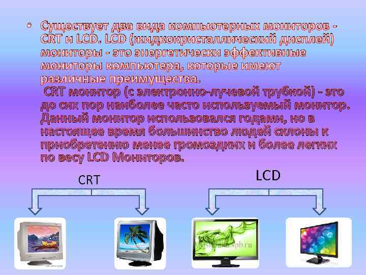  • Существует два вида компьютерных мониторов CRT и LCD (жидкокристаллический дисплей) мониторы -