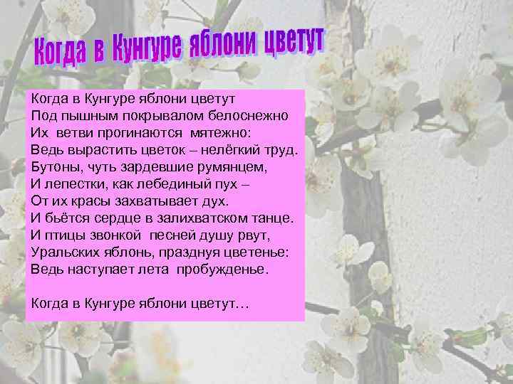 Когда в Кунгуре яблони цветут Под пышным покрывалом белоснежно Их ветви прогинаются мятежно: Ведь