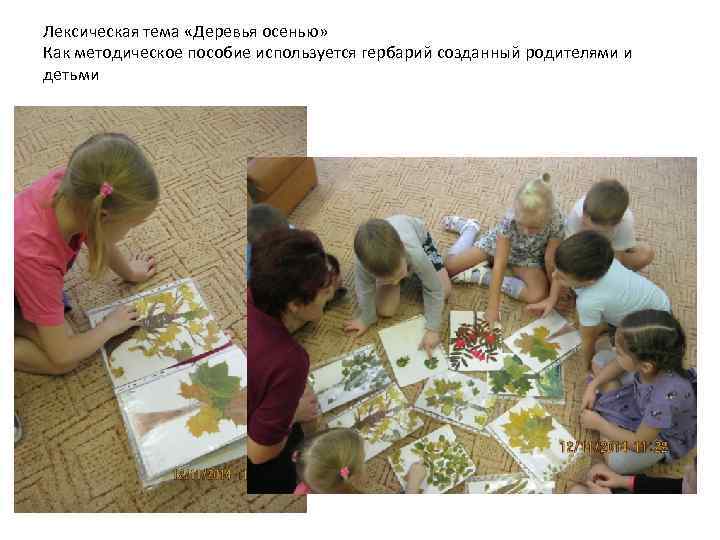 Лексическая тема «Деревья осенью» Как методическое пособие используется гербарий созданный родителями и детьми 