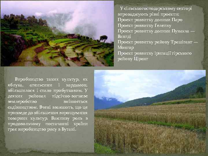  У сільськогосподарському секторі впроваджують різні проекти: Проект розвитку долини Паро Проект розвитку Гелепху