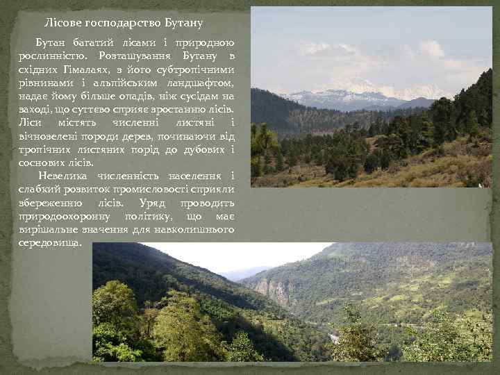 Лісове господарство Бутану Бутан багатий лісами і природною рослинністю. Розташування Бутану в східних Гімалаях,