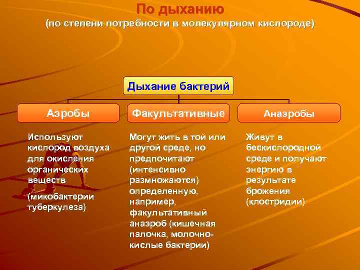 По дыханию (по степени потребности в молекулярном кислороде) Дыхание бактерий Аэробы Факультативные Используют кислород