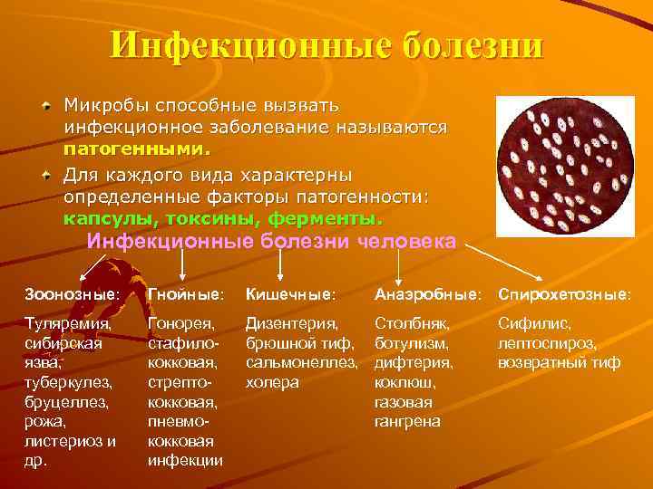 Инфекционные болезни Микробы способные вызвать инфекционное заболевание называются патогенными. Для каждого вида характерны определенные