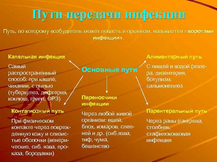 Пути передачи инфекции Путь, по которому возбудитель может попасть в организм, называется «воротами инфекции»
