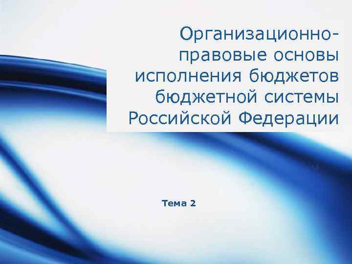 Организационноправовые основы исполнения бюджетов бюджетной системы Российской Федерации Тема 2 