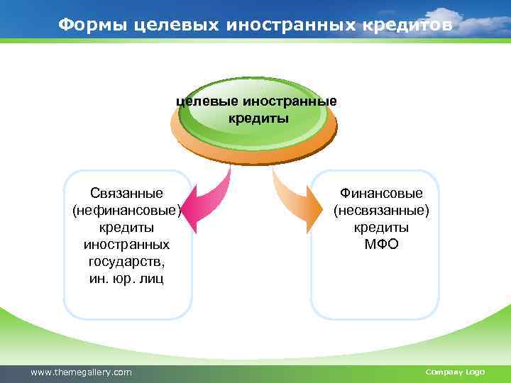 Целевой кредит. Виды гос заимствований. Внешние и внутренние заимствования. Государственные внутренние и внешние заимствования. Виды заимствований субъектов РФ.