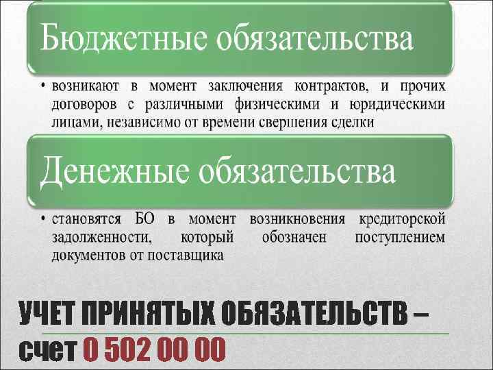 УЧЕТ ПРИНЯТЫХ ОБЯЗАТЕЛЬСТВ – счет 0 502 00 00 