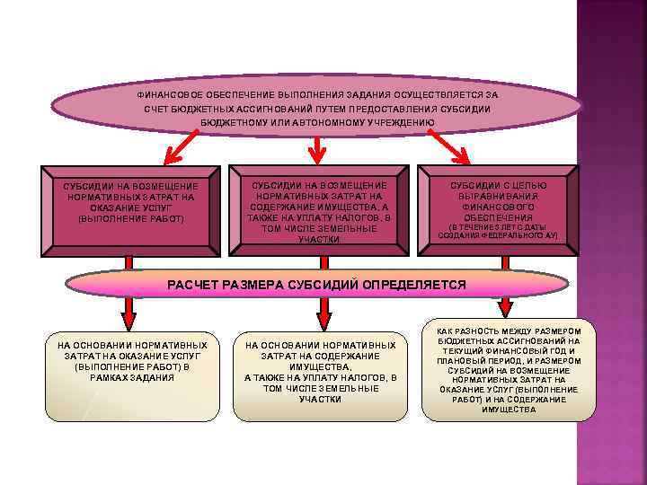 ФИНАНСОВОЕ ОБЕСПЕЧЕНИЕ ВЫПОЛНЕНИЯ ЗАДАНИЯ ОСУЩЕСТВЛЯЕТСЯ ЗА СЧЕТ БЮДЖЕТНЫХ АССИГНОВАНИЙ ПУТЕМ ПРЕДОСТАВЛЕНИЯ СУБСИДИИ БЮДЖЕТНОМУ ИЛИ