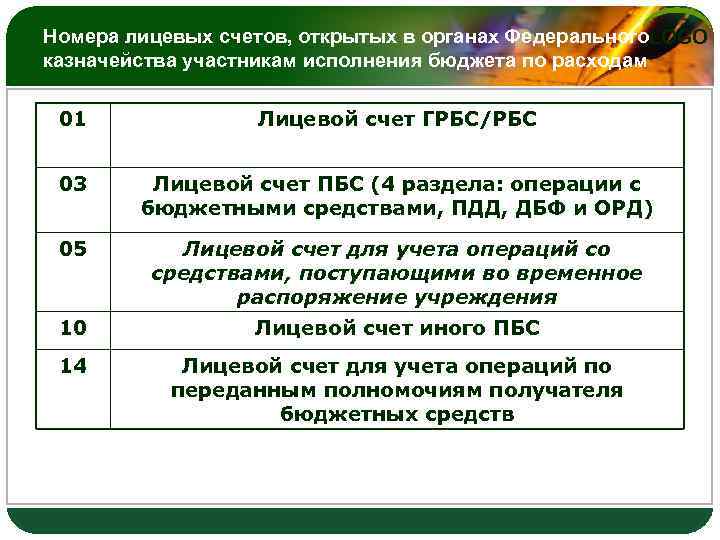 Лицевые счета открытые в казначействе. Лицевой счет в казначействе. Номер лицевого счета в казначействе. 01 Лицевой счет в казначействе что это. Номер лицевого счета в казначействе пример.