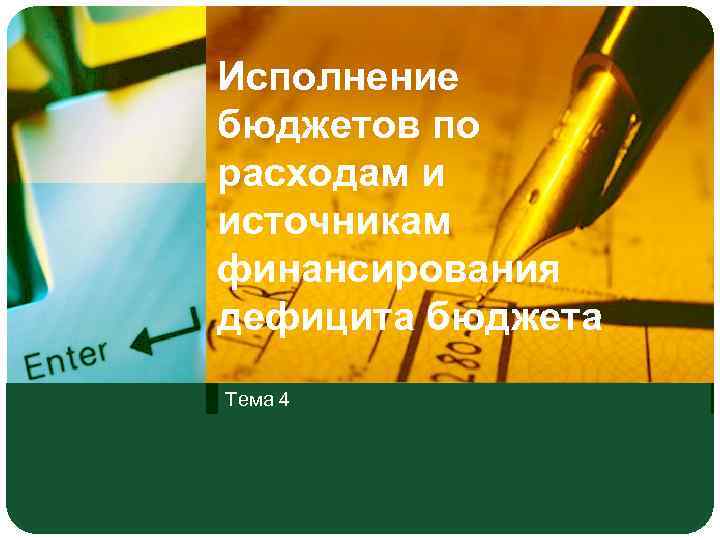 Исполнение бюджетов по расходам и источникам финансирования дефицита бюджета Тема 4 