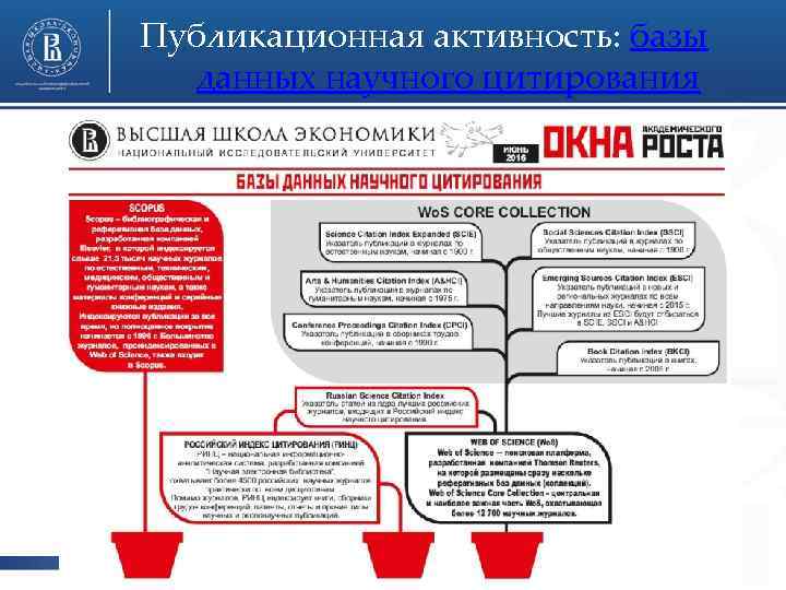 Публикационная активность: базы данных научного цитирования 