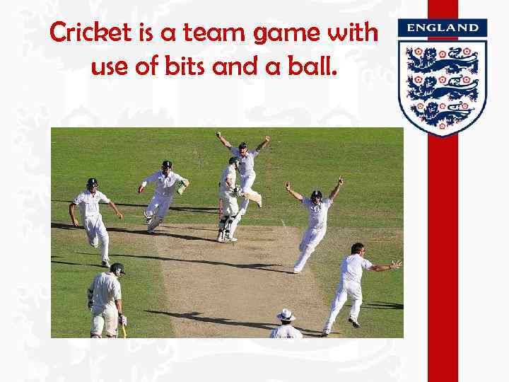Cricket is a team game with use of bits and a ball. 