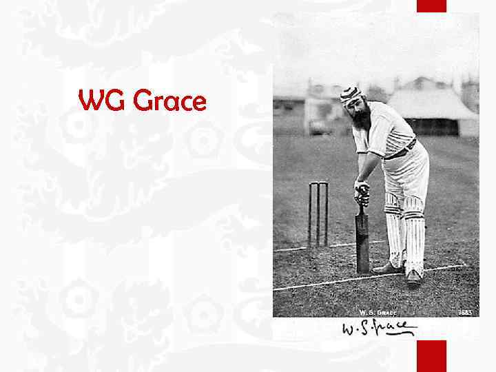 WG Grace 