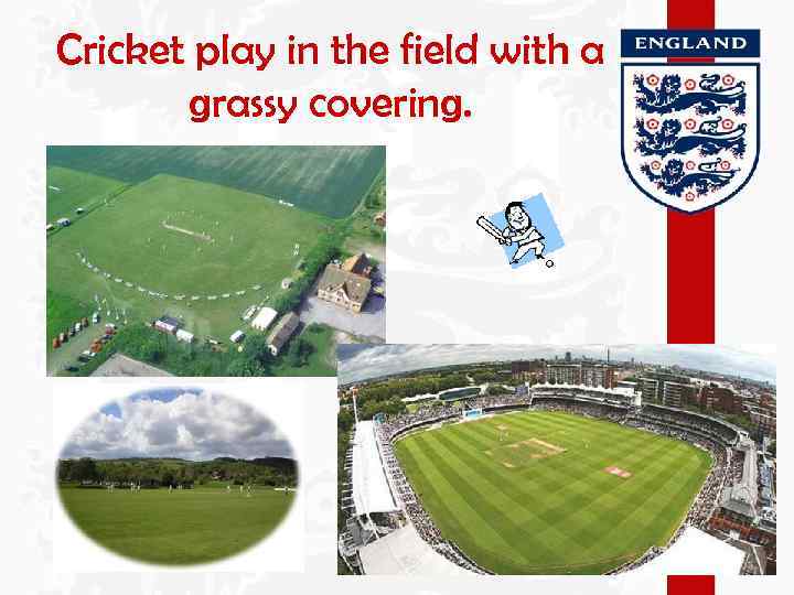 Cricket play in the field with a grassy covering. 