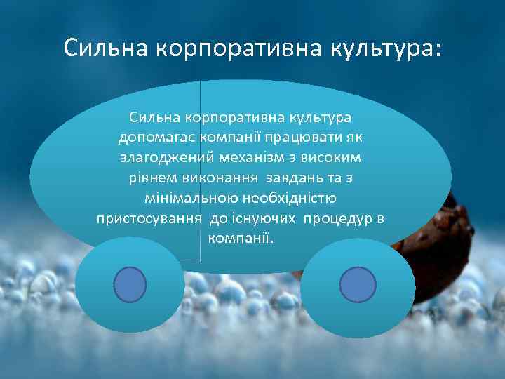 Сильна корпоративна культура: Сильна корпоративна культура допомагає компанії працювати як злагоджений механізм з високим