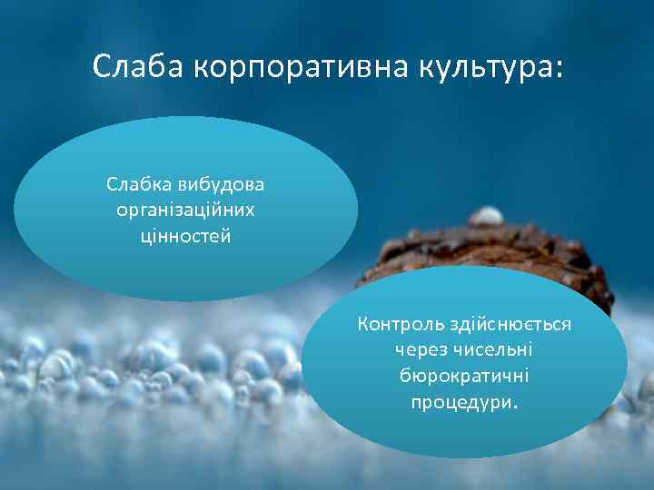 Слаба корпоративна культура: Слабка вибудова організаційних цінностей Контроль здійснюється через чисельні бюрократичні процедури. 