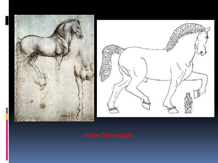  Конь Леонардо 