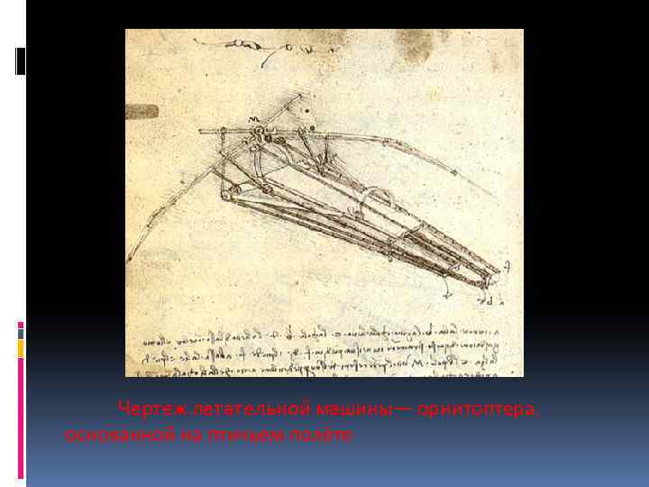  Чертеж летательной машины— орнитоптера, основанной на птичьем полёте 