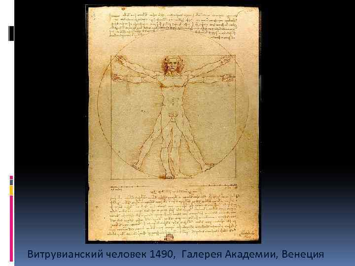  Витрувианский человек 1490, Галерея Академии, Венеция 