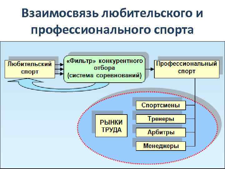 Различие в подходе между профессиональным и любительским спортом презентация