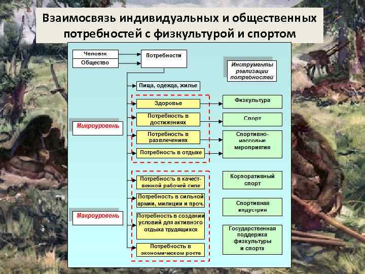 Взаимосвязь индивидуальных и общественных потребностей с физкультурой и спортом 