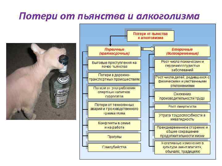 Потери от пьянства и алкоголизма 