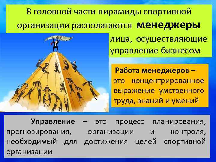 В головной части пирамиды спортивной организации располагаются менеджеры лица, осуществляющие управление бизнесом Работа менеджеров