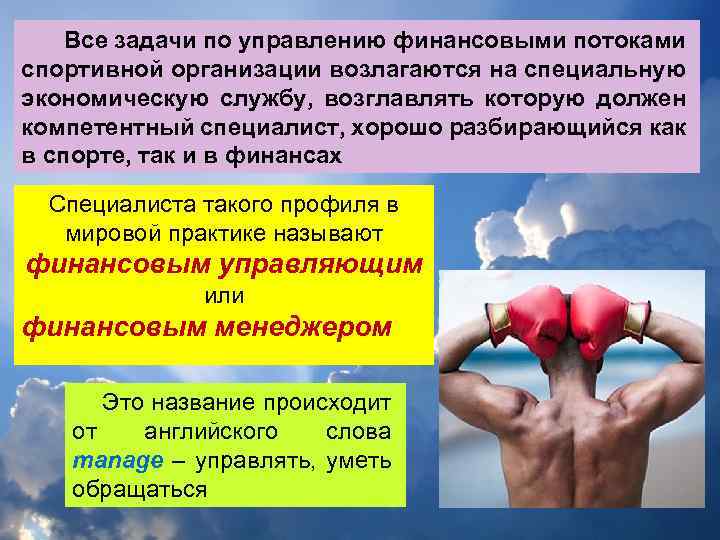 Все задачи по управлению финансовыми потоками спортивной организации возлагаются на специальную экономическую службу, возглавлять